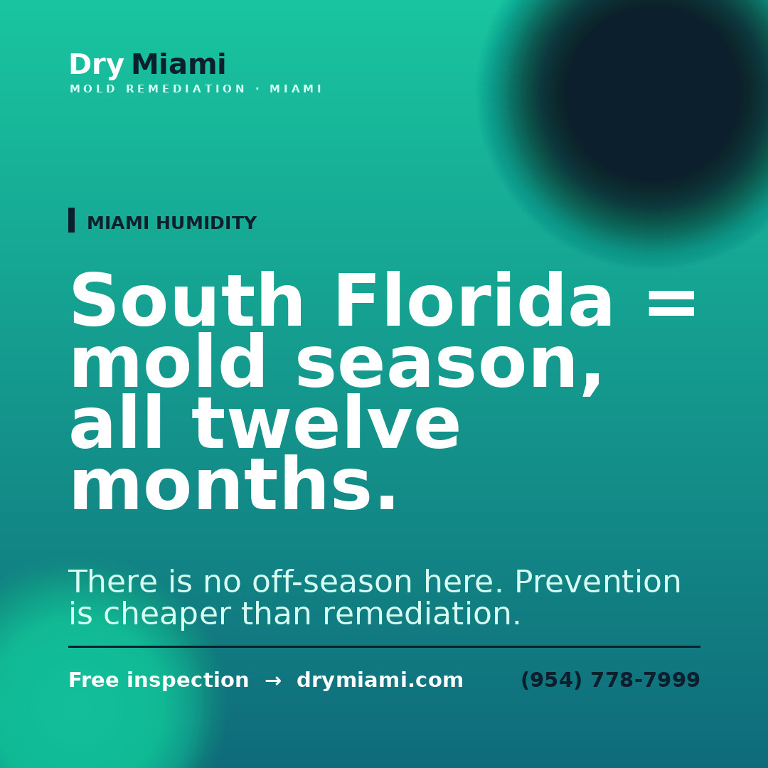 Indoor Air Quality Tips for Miami Homeowners