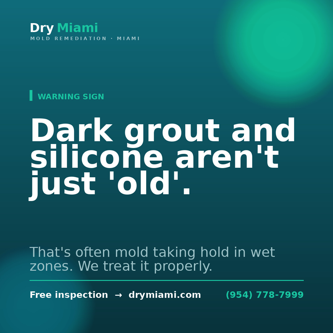 Mold in Rental Properties: Tenant & Landlord Rights in Florida