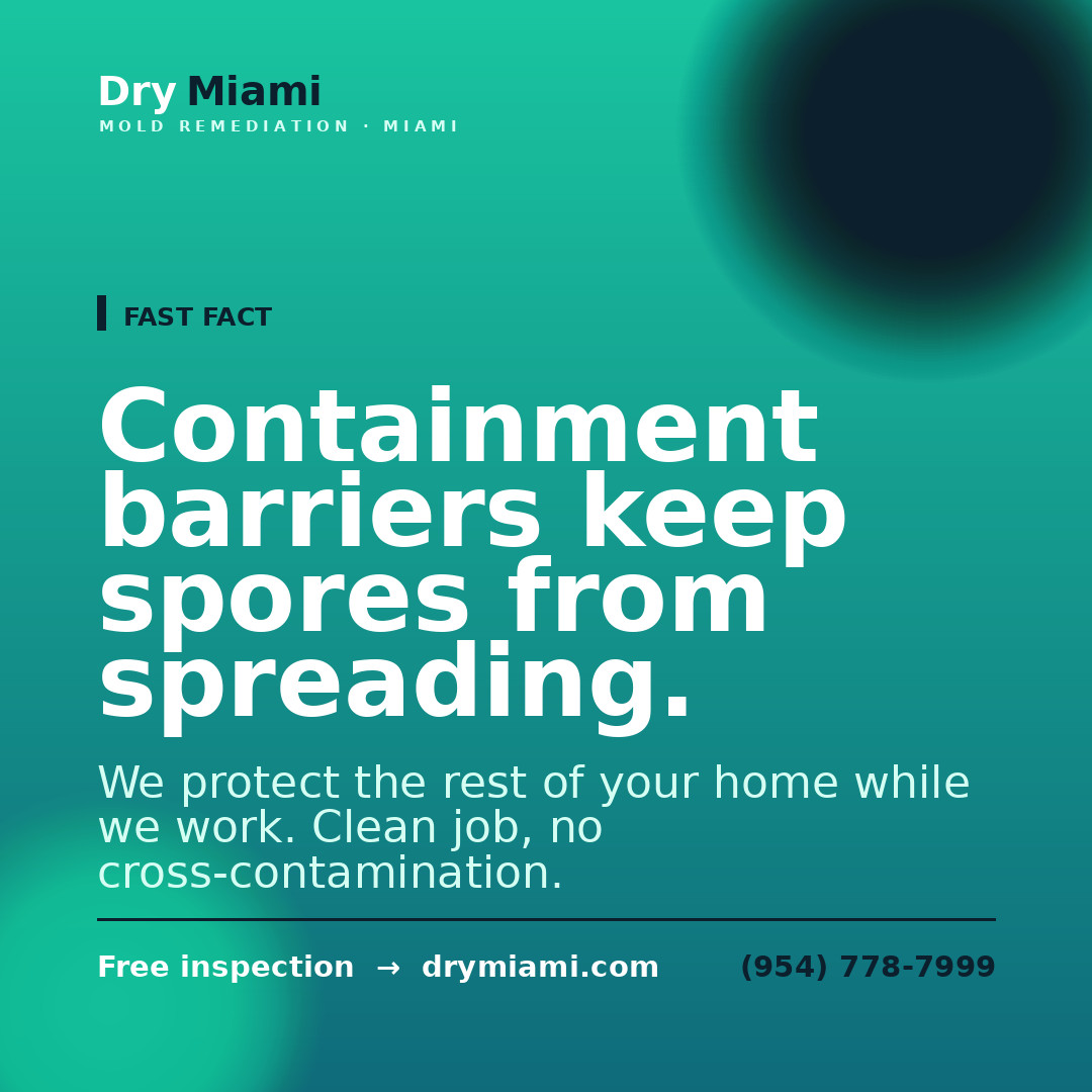 Prevent Bathroom Mold: Tips & When to Call a Pro