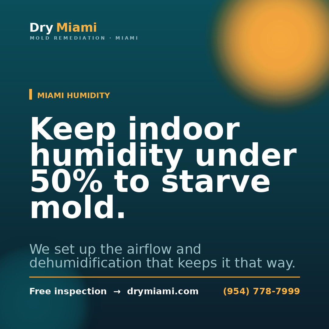 How Miami Humidity Causes Mold in Condos and High-Rises