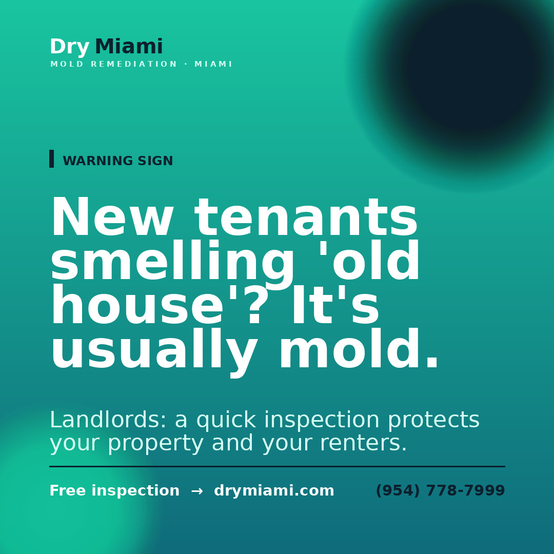 Understanding the Mold Remediation Process Step by Step