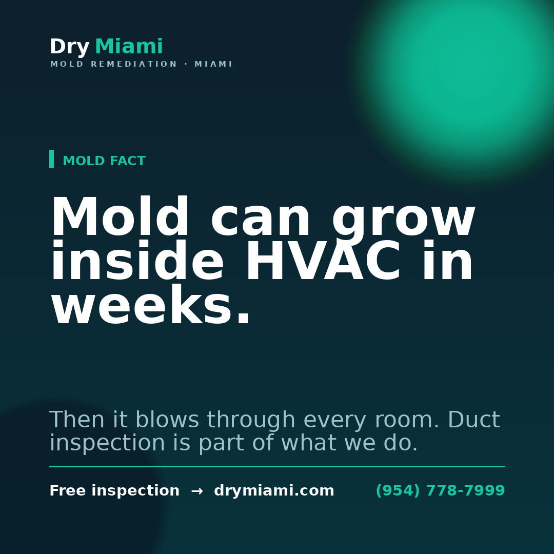 Mold in AC and Air Ducts: Causes, Signs & Solutions