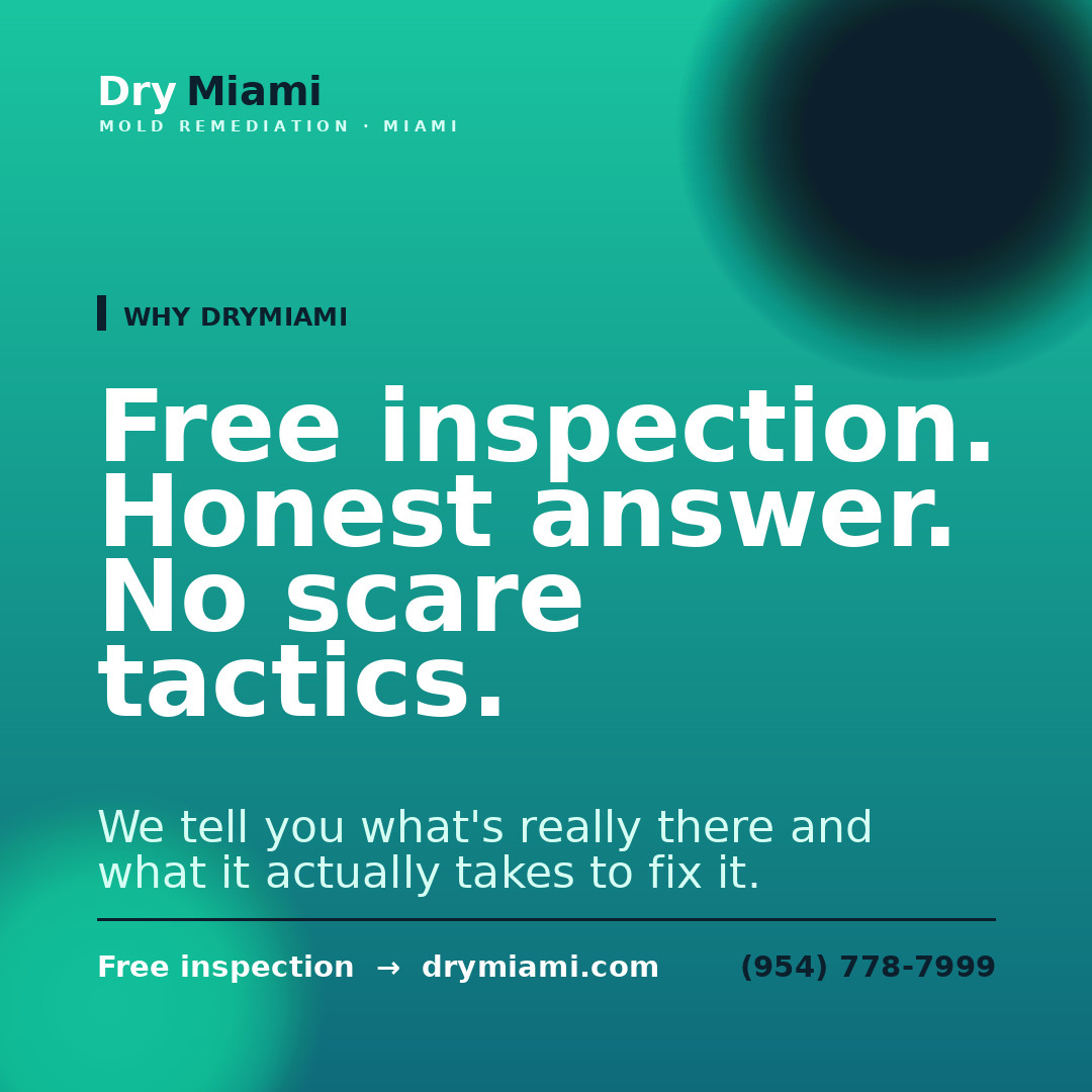 Does Homeowners Insurance Cover Mold Remediation in Florida?